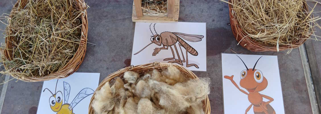 Atelier insectes
